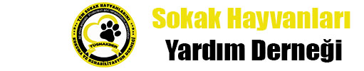 Sokak Hayvanları Yardım Derneği